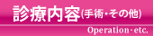 診療内容（手術・その他）