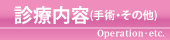 診療内容（手術・その他）