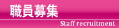 職員募集